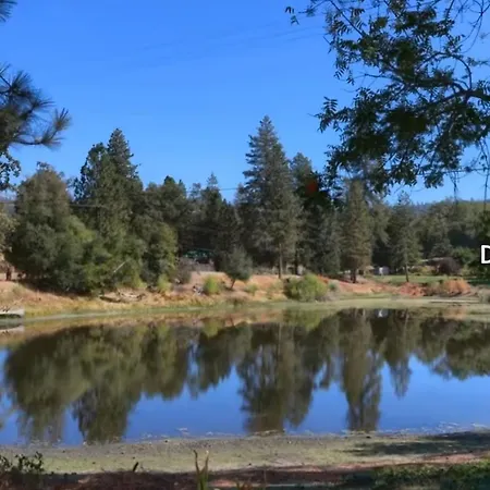 La Dolce Villa Pond Retreat In Yosemite